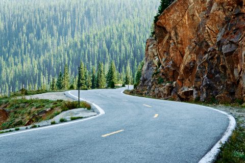 A Serpent Through the Pines