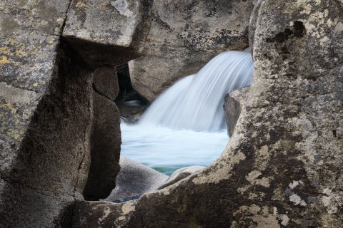 A Window into the Flow