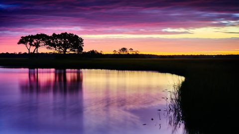 Amethyst Canopy of Twilight