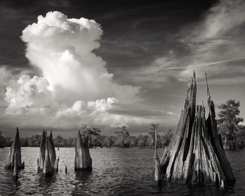 Cypress Grove Monologue