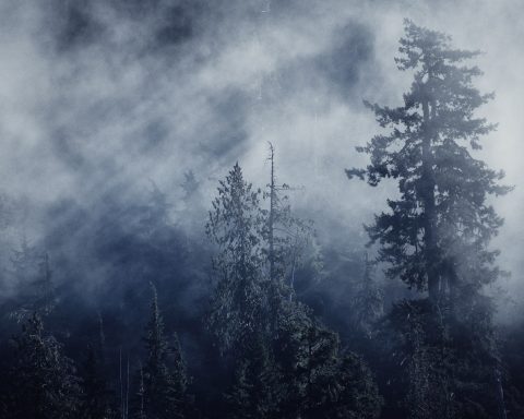 Light Piercing the Veil