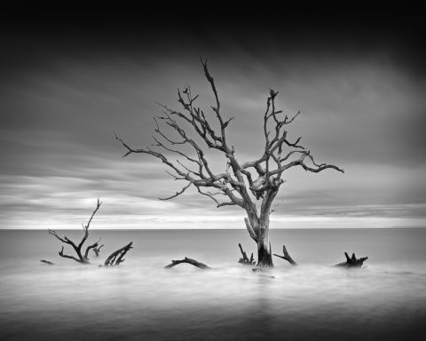 Monochrome Tide Spirits