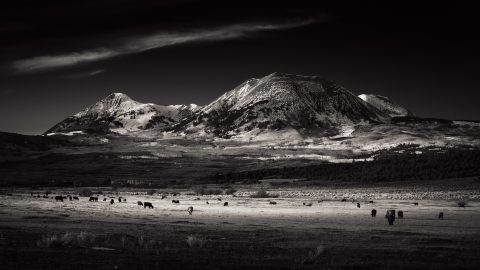 Shadows Across the Obsidian Plain