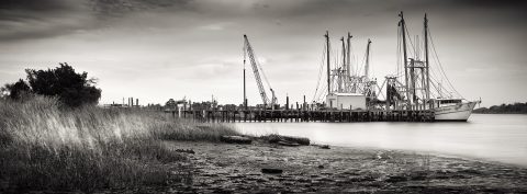 Skeletons of the Basin