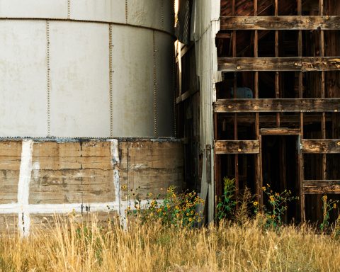 Steel Giants and Wooden Bones