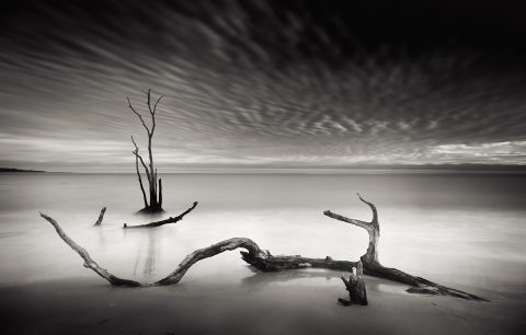 Tide Etched Monochrome