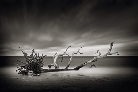 The Gales of November