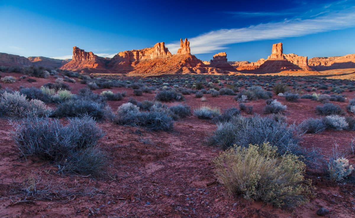 Desert’s Golden Spires