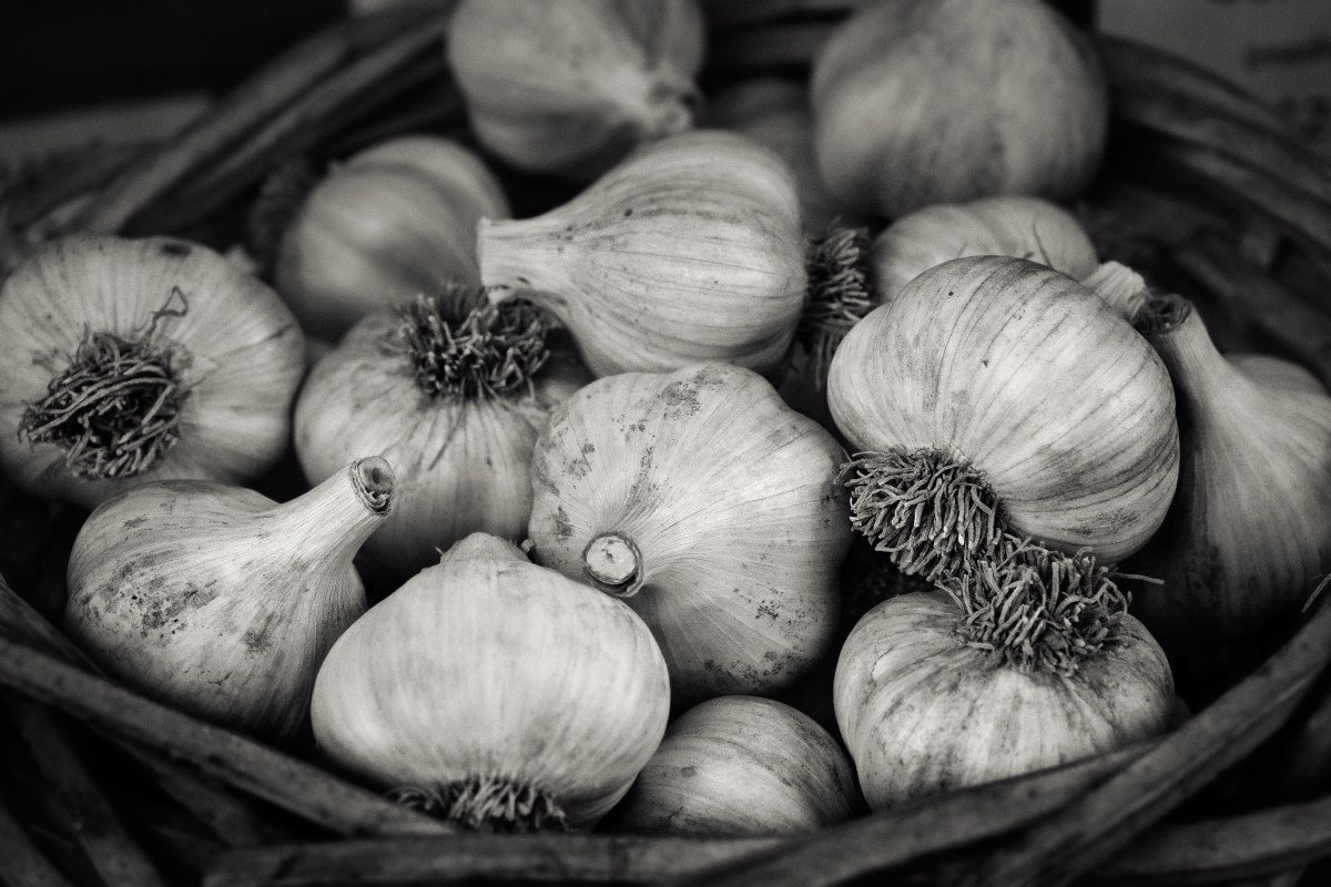 Earth’s Hidden Bulbs