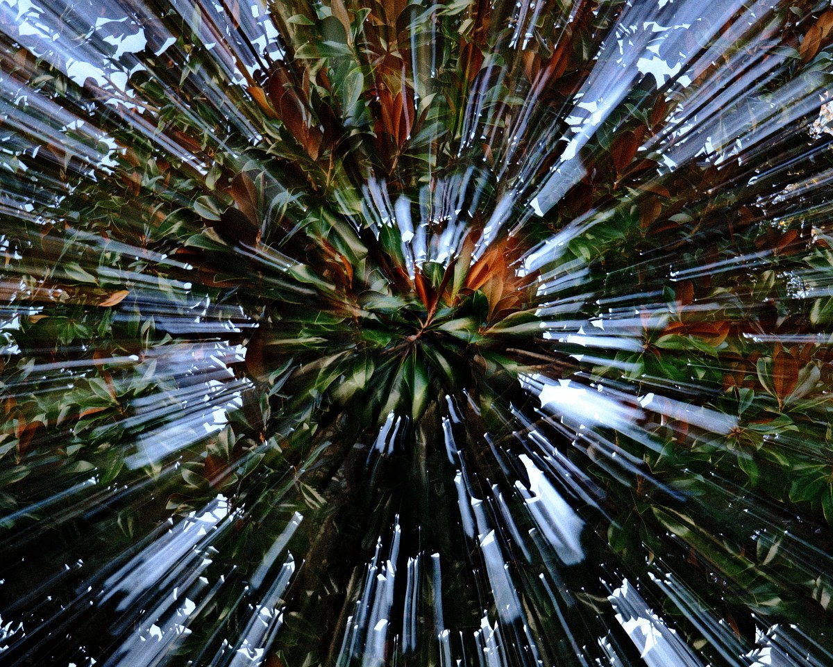 Explosion of Verdant Light