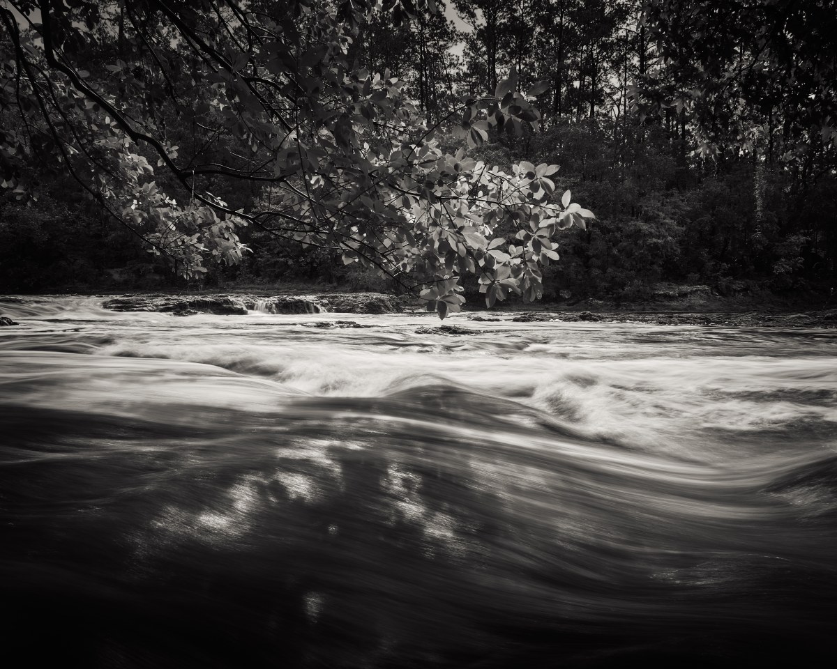 Flow of the Ancients