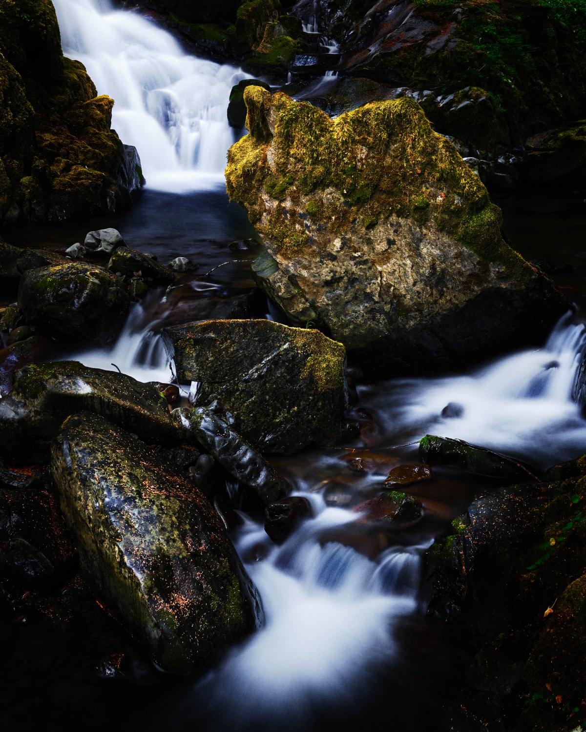 Heart of the Moss-Grown Cradle