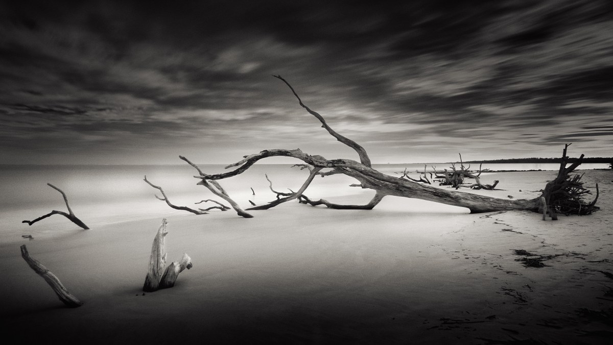 Monochrome Dreamscape