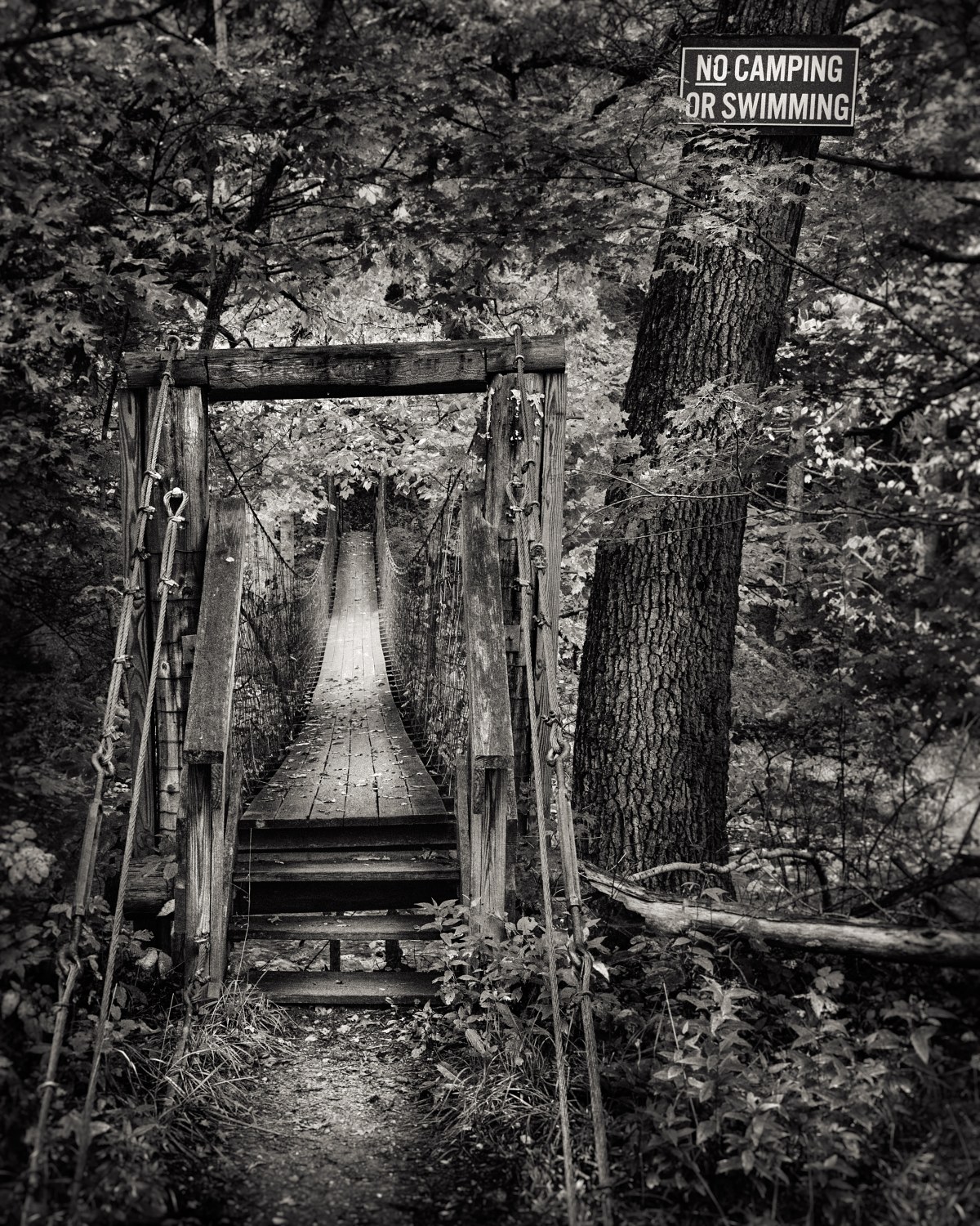 Passage to the Forbidden Woods