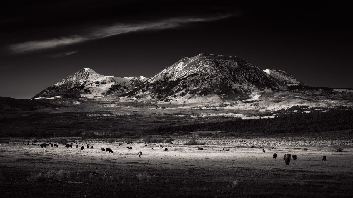 Shadows Across the Obsidian Plain