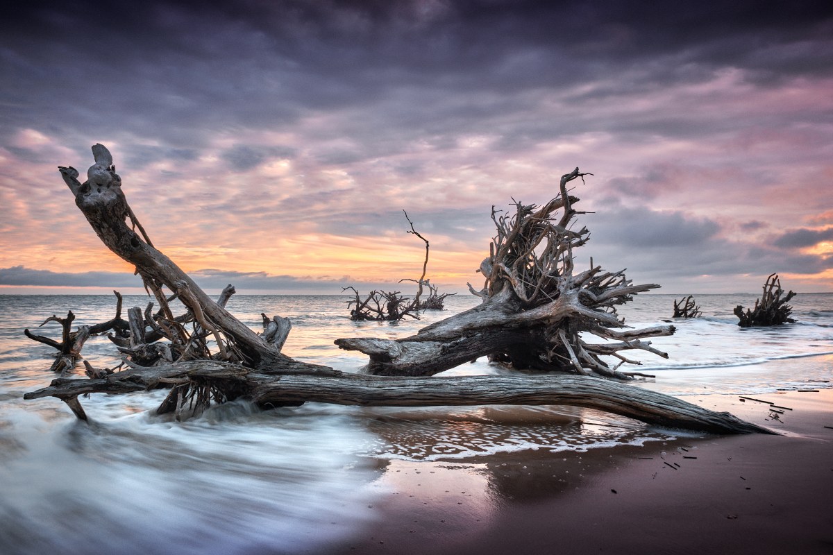 Skeletal Remains of the Sunset