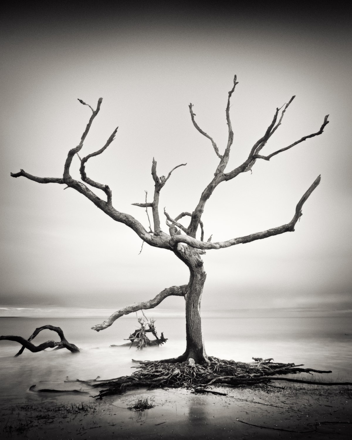 Skeleton Against Eternity