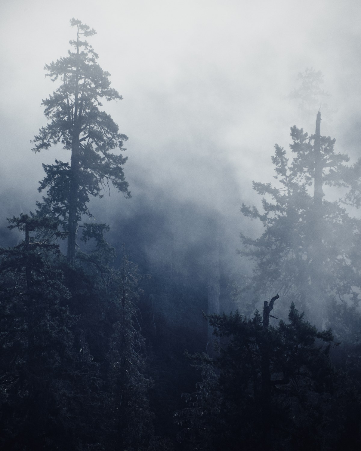 The Breath of the Ancients