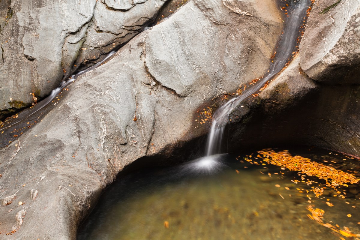 The Cradle of the Fallen Leaves