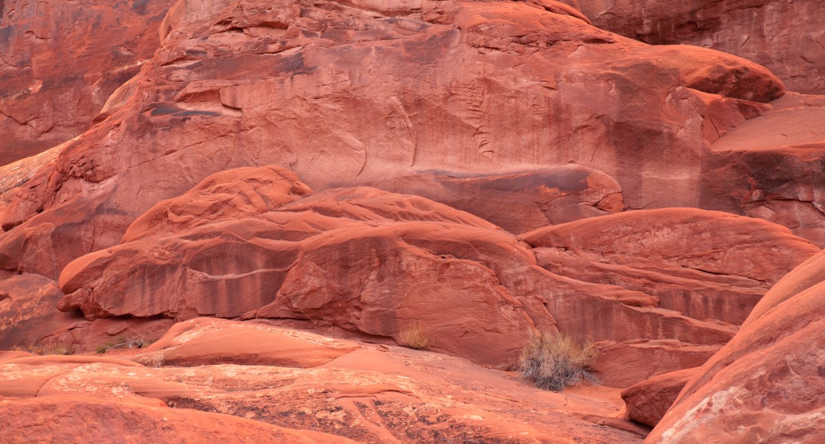 The Crimson Fold of Time