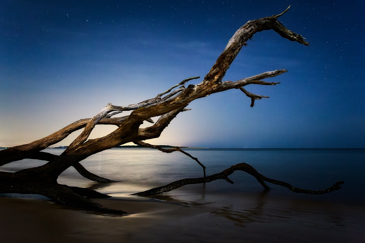 The Fallen Constellation