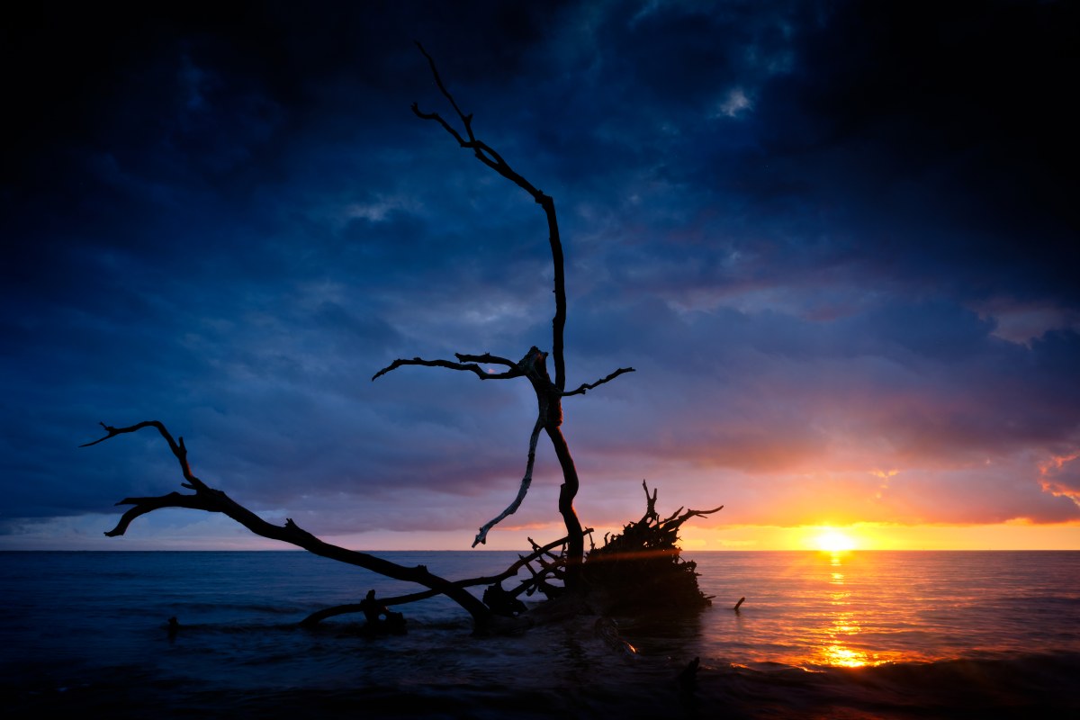 The Fire of the Fallen