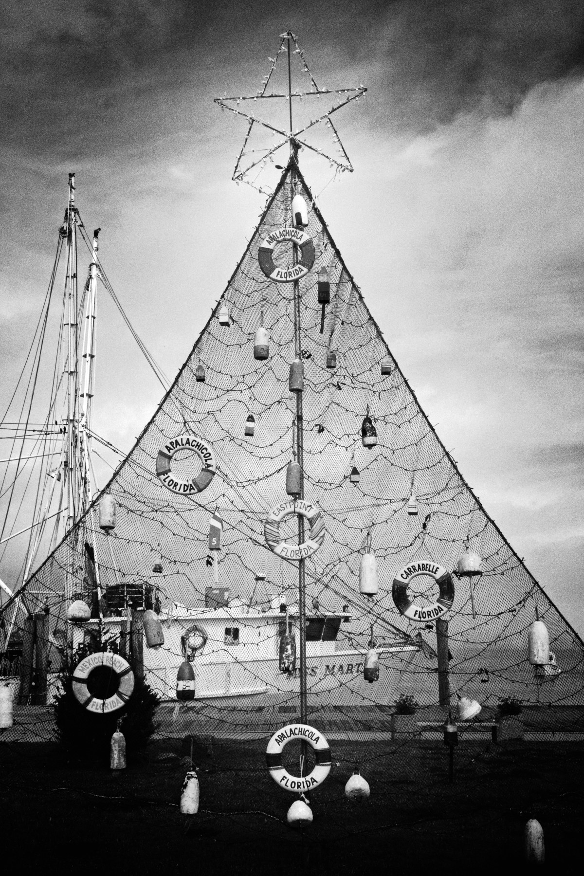 The Fisherman’s Tree