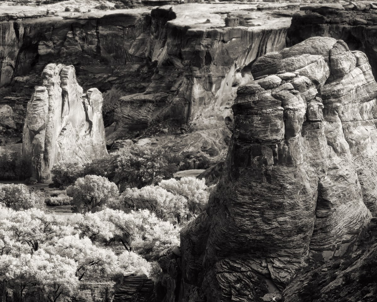 The Fortress of Echoes