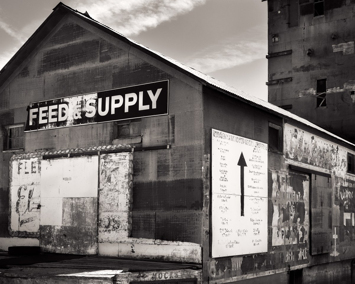 The General Store of Time