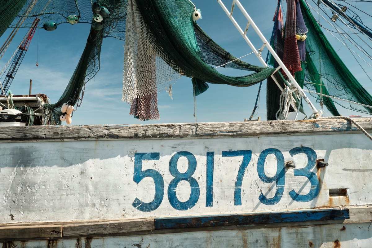 The Geometry of the Numbered Hull