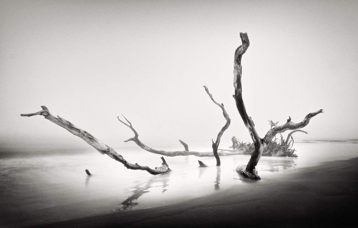 The Ghost in the Mist