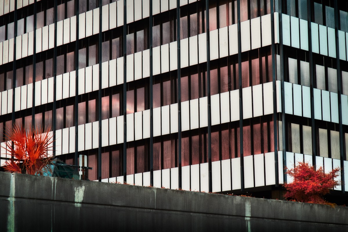 The Glass Facade of Dreams