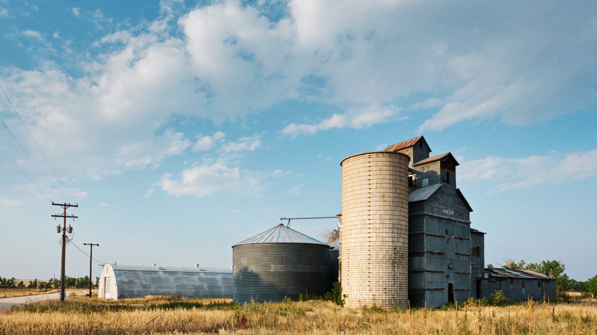 The Grain Tower in the Wide