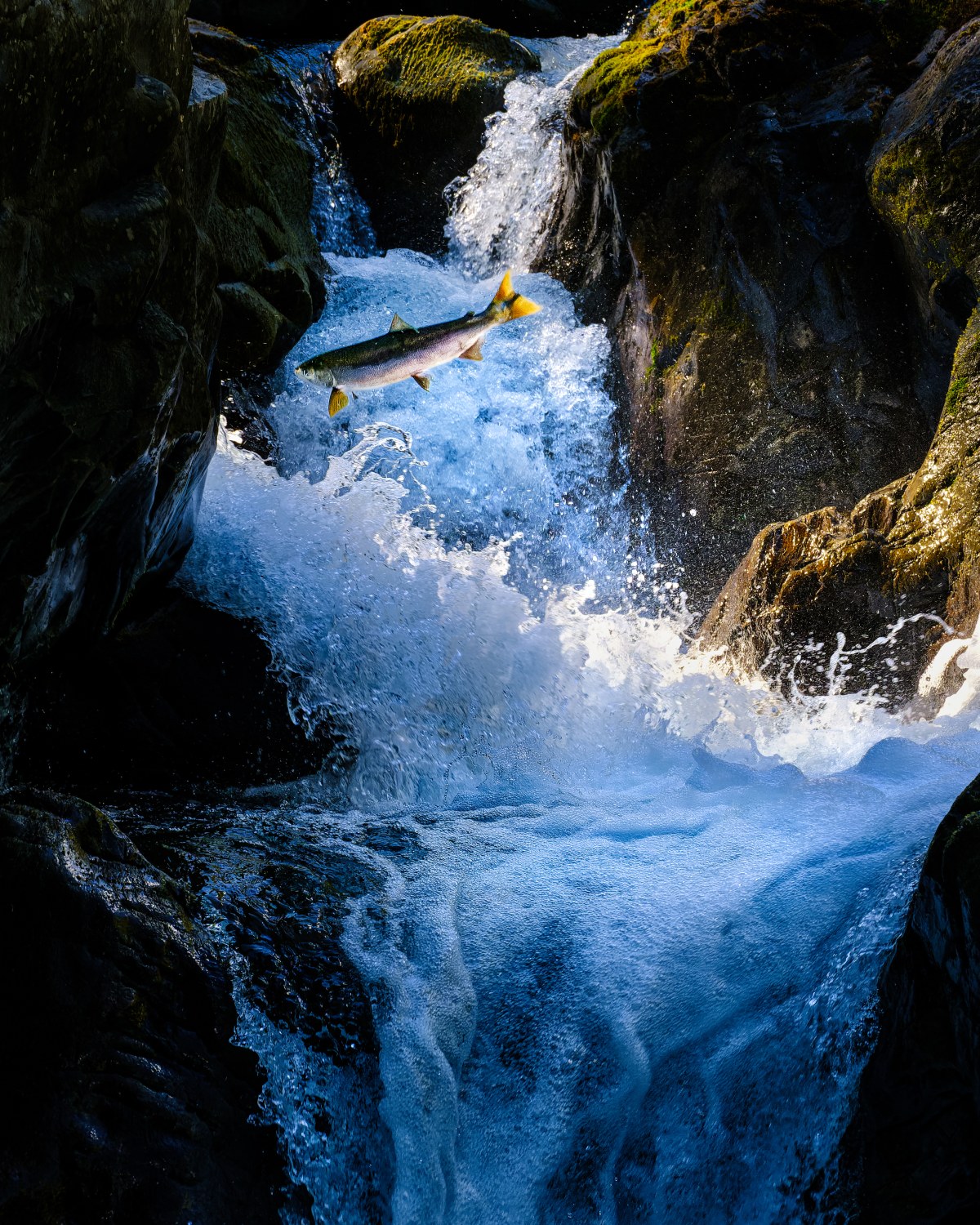 The Leap of the Returning Soul