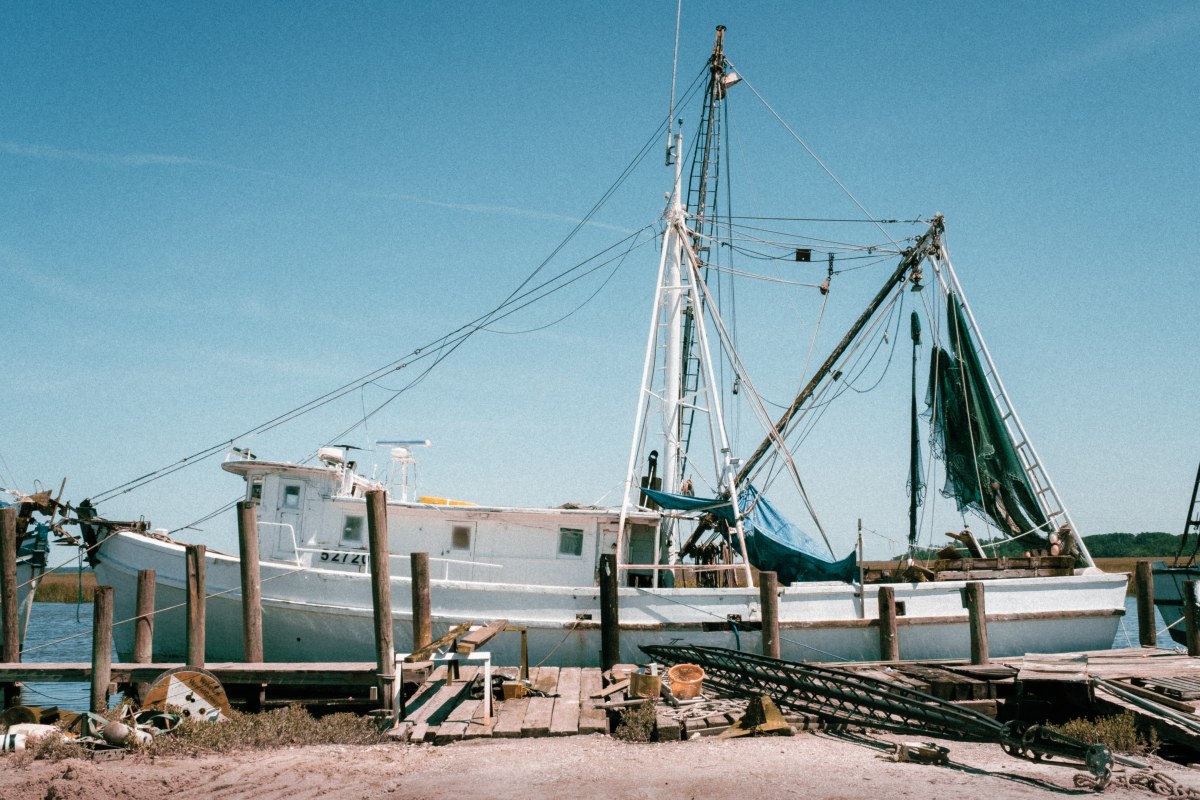 The Lone Trawler in the Golden Light