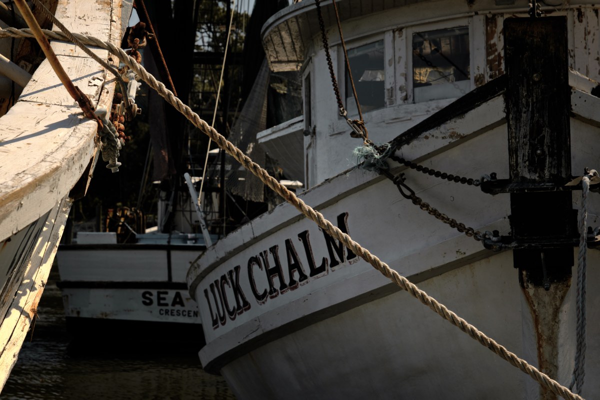 The Luck in the Wooden Bones