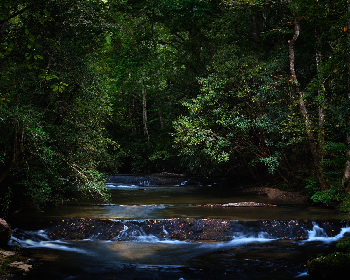 The River's Secret Path
