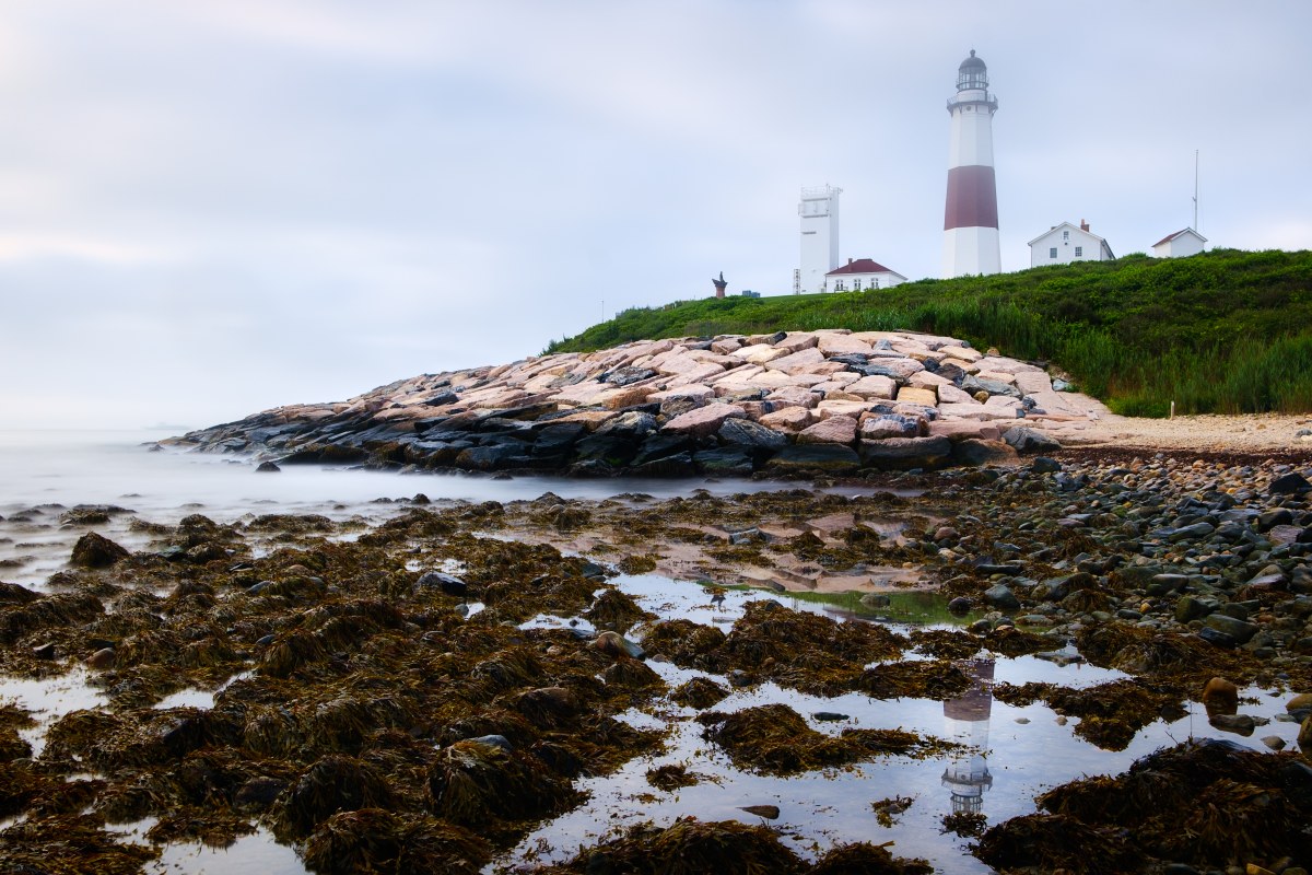 The Sentinel of the Graying Sea