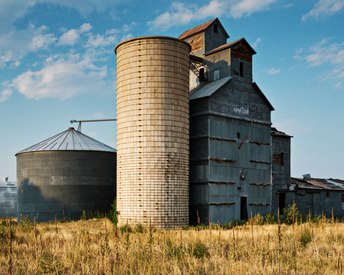 The Sentinel of the Harvest