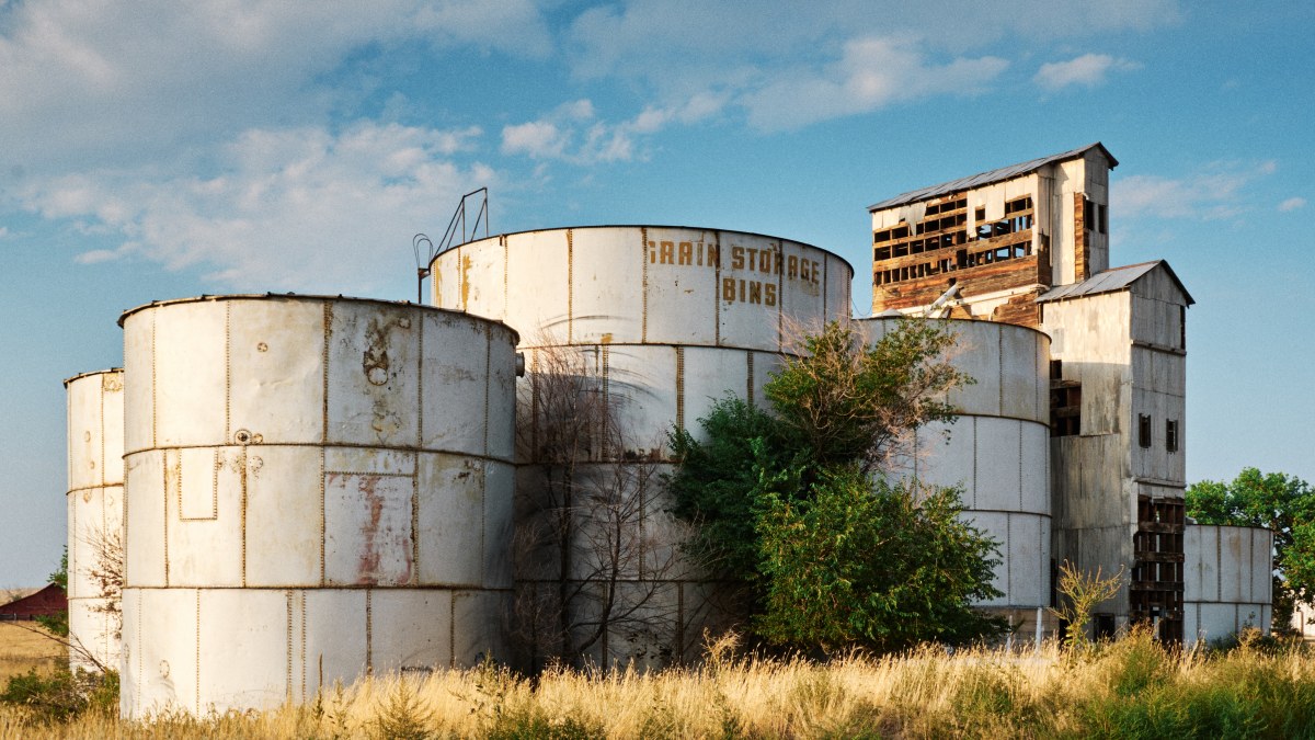 The Silent Bins of the Golden Plain