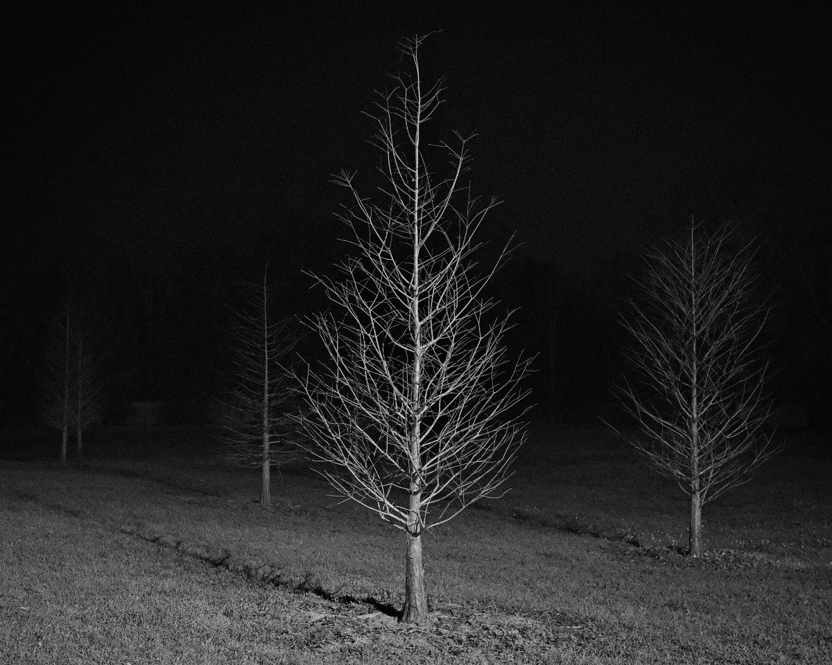 The Stillness of a Nocturnal Mind