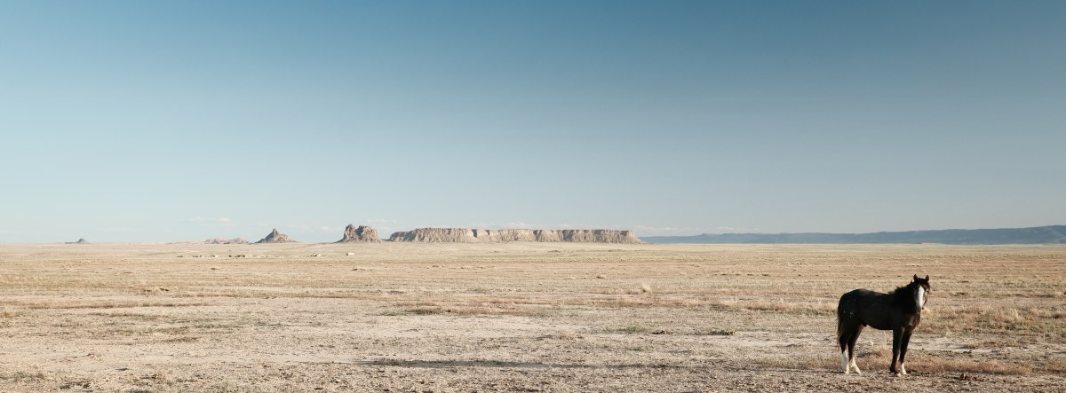 The Unbound Nomad in the Dust