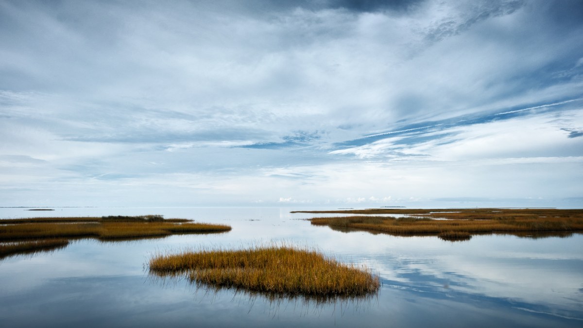 The Vastness of Between