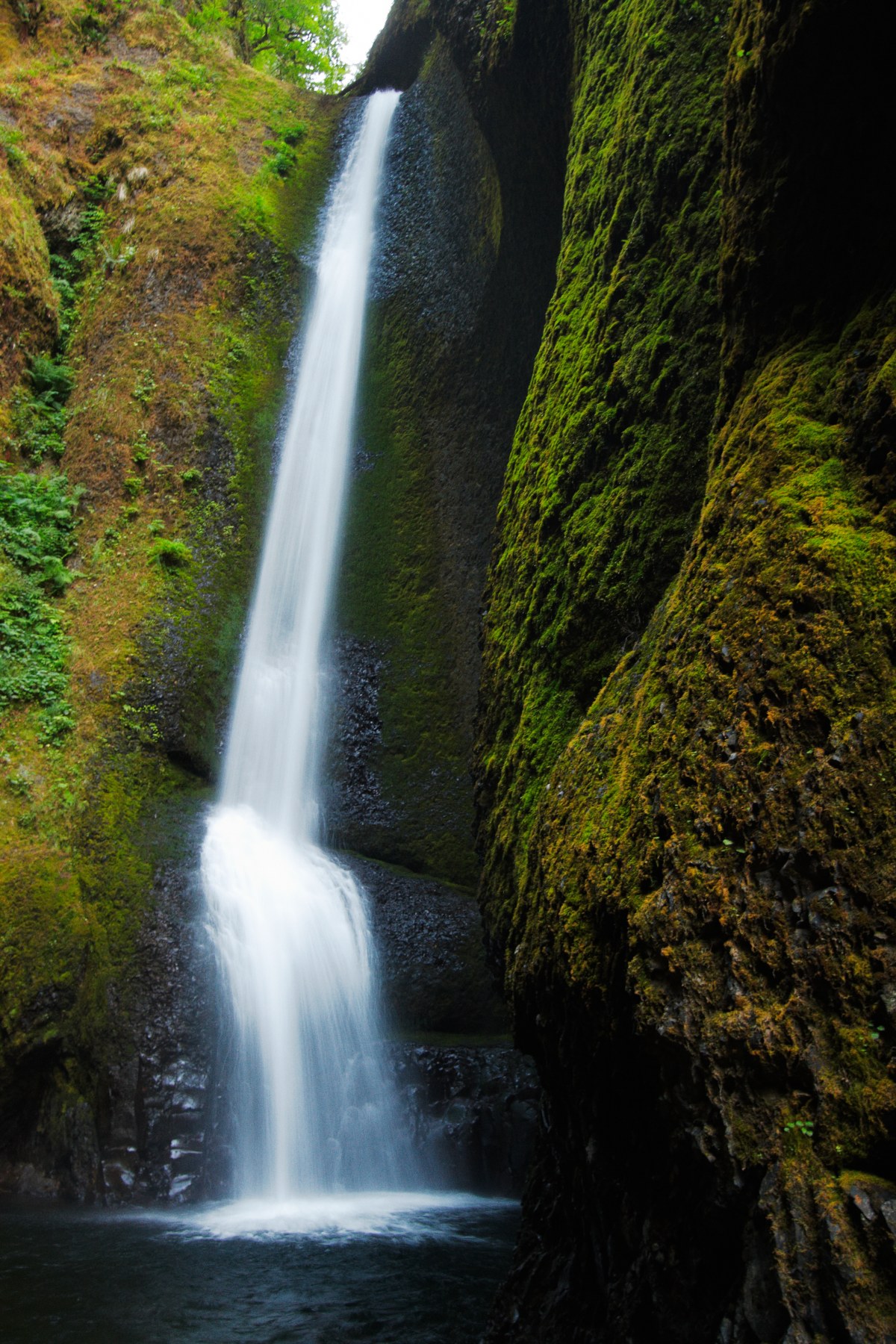 The Veiled Altar of the Gorge