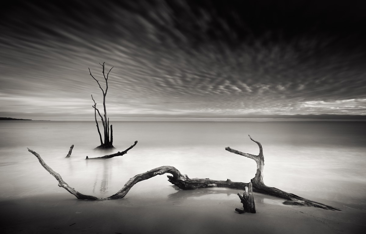 Tide Etched Monochrome