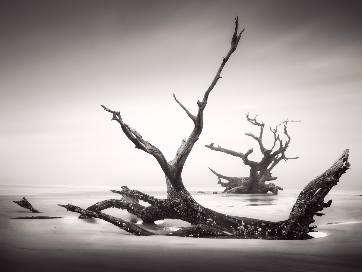 Twisted Thrones of Sand