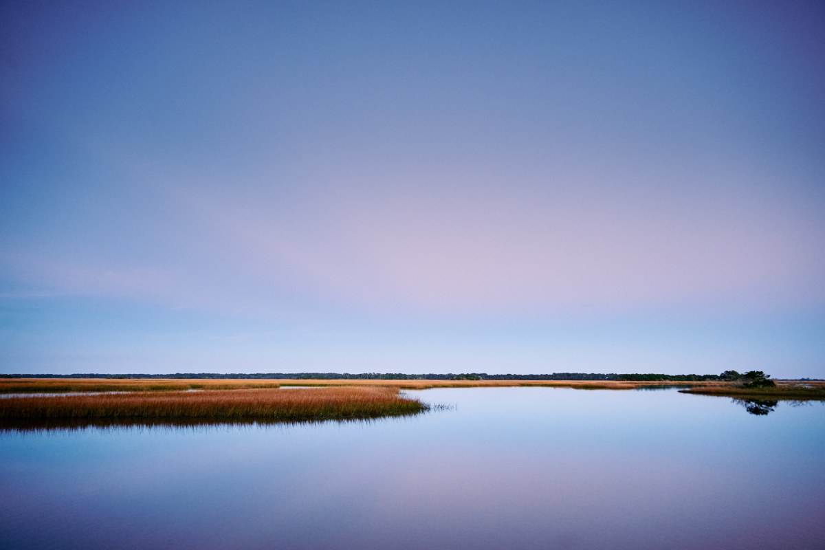 Violet Horizon Reach