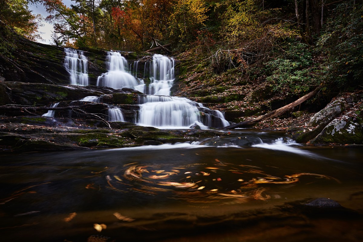 Vortex of the Season