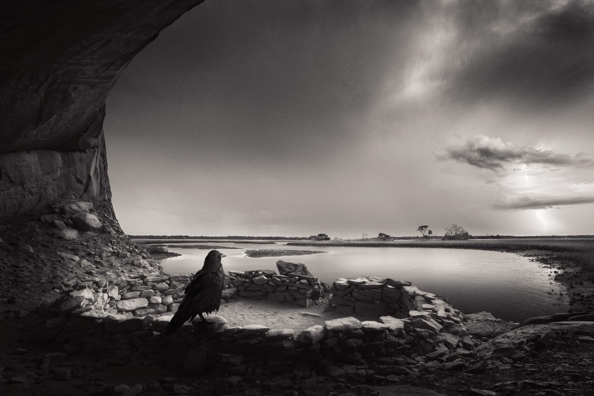 Watcher of the Storm