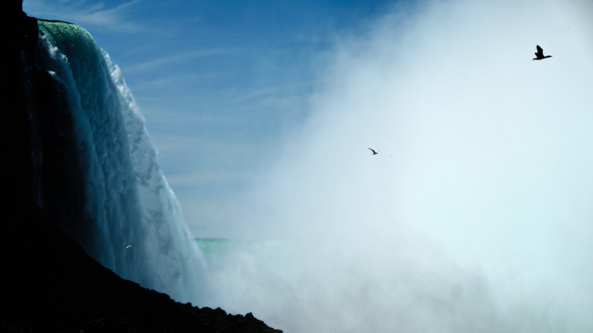 Witnesses to the Great Descent